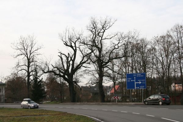 Žamberk, 5.12.2015
Zámecká ulice u Zámeckého rybníka.

Klíčová slova: Žamberk Zámecký rybník