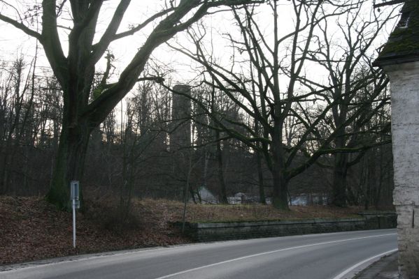 Žamberk, 5.12.2015
Duby na hrázi Zámeckého rybníka.


Klíčová slova: Žamberk Zámecký rybník