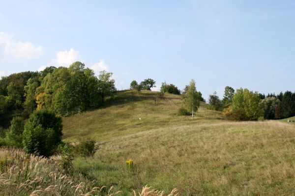 Záměl, 20.9.2009
Step se starou třešňovkou u Zámělského borku.
Mots-clés: Záměl Zámělský borek Anthaxia candens