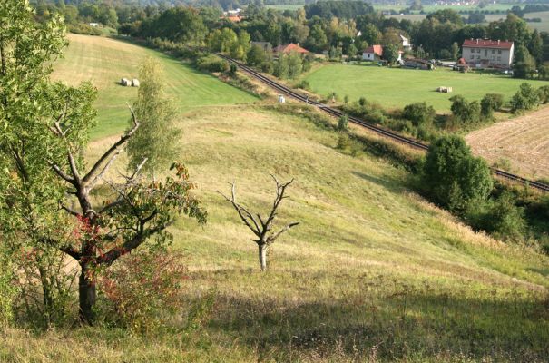 Záměl, 20.9.2009
Pohled ze stepi u Zámělského borku na Záměl.
Keywords: Záměl Zámělský borek Anthaxia candens