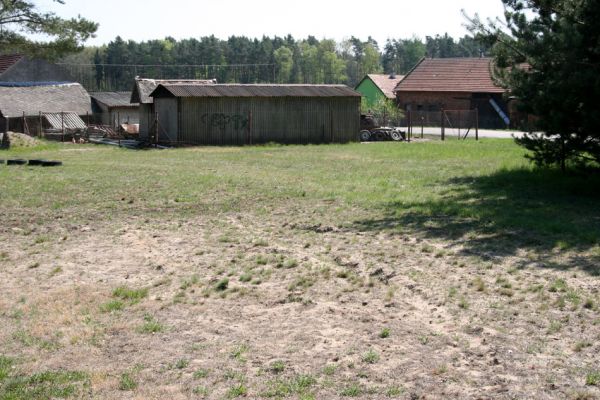 Bohumileč, Zástava, 21.4.2011
Zachovalá písčina s kostřavami v centru obc - víceúčelový zábavní areál. 
Schlüsselwörter: Rokytno Bohumileč Zástava