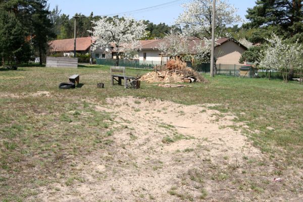 Bohumileč, Zástava, 21.4.2011
Zachovalá písčina s kostřavami v centru obc - víceúčelový zábavní areál. 
Klíčová slova: Rokytno Bohumileč Zástava