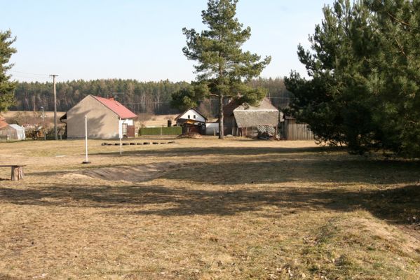 Bohumileč, Zástava, 6.3.2013
Písčiny uprostřed obce jsou zastíněny několika borovicemi. 
Klíčová slova: Rokytno Bohumileč Zástava