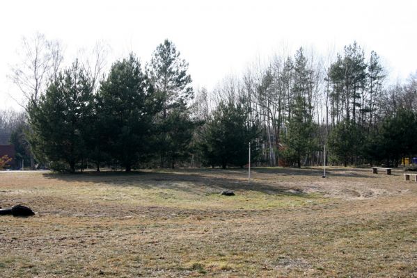 Bohumileč, Zástava, 6.3.2013
Písčiny uprostřed obce jsou zastíněny několika borovicemi. 
Klíčová slova: Rokytno Bohumileč Zástava