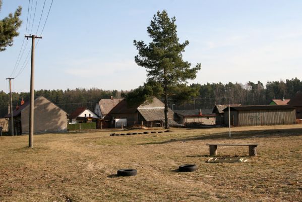 Bohumileč, Zástava, 6.3.2013
Písčiny uprostřed obce - prostor pro volnočasové aktivity obyvatel. 
Klíčová slova: Rokytno Bohumileč Zástava