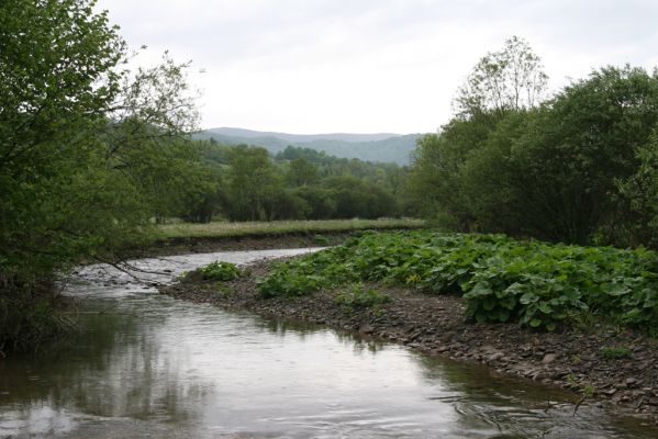 Nová Sedlica-Zboj, 11.5.2014
Meandry Zbojského potoka.


Mots-clés: Nová Sedlica Zboj Zbojský potok Zorochros dermestoides