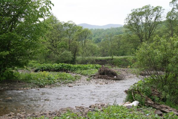 Nová Sedlica-Zboj, 11.5.2014
Meandry Zbojského potoka.


Schlüsselwörter: Nová Sedlica Zboj Zbojský potok