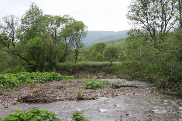 Nová Sedlica-Zboj, 11.5.2014
Meandry Zbojského potoka.


Schlüsselwörter: Nová Sedlica Zboj Zbojský potok