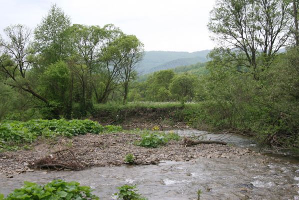 Nová Sedlica-Zboj, 11.5.2014
Meandry Zbojského potoka.


Klíčová slova: Nová Sedlica Zboj Zbojský potok