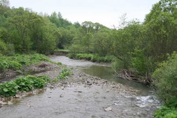 Nová Sedlica-Zboj, 11.5.2014
Meandry Zbojského potoka.



Mots-clés: Nová Sedlica Zboj Zbojský potok