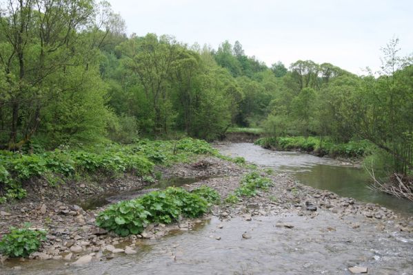 Nová Sedlica-Zboj, 11.5.2014
Meandry Zbojského potoka.



Klíčová slova: Nová Sedlica Zboj Zbojský potok