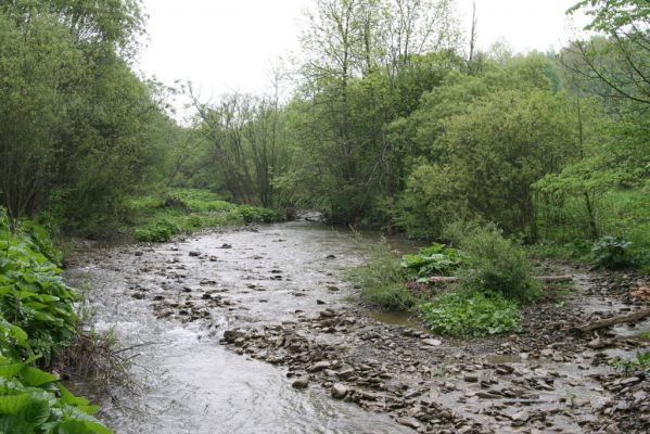 Nová Sedlica-Zboj, 11.5.2014
Meandry Zbojského potoka.



Mots-clés: Nová Sedlica Zboj Zbojský potok