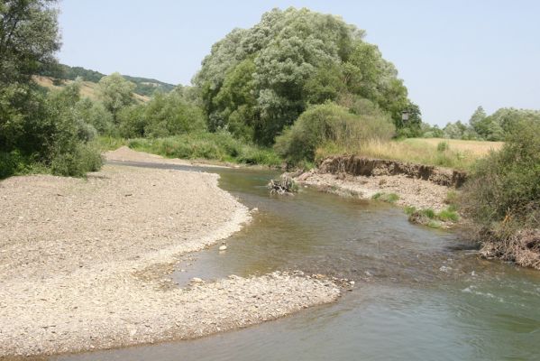 Zbudské Dlhé, 5.7.2014
Meandry Laborce.



Klíčová slova: Zbudské Dlhé řaka Laborec