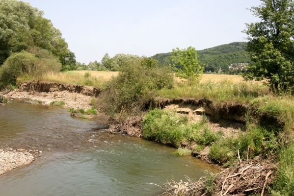 Zbudské Dlhé, 5.7.2014
Meandry Laborce.



Mots-clés: Zbudské Dlhé řaka Laborec