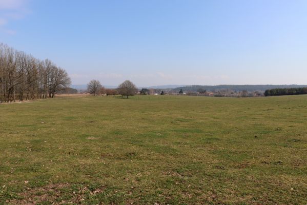 Žďár nad Orlicí, 19.3.2020
Pastvina u lesa.
Klíčová slova: Žďár nad Orlicí pastvina u lesa