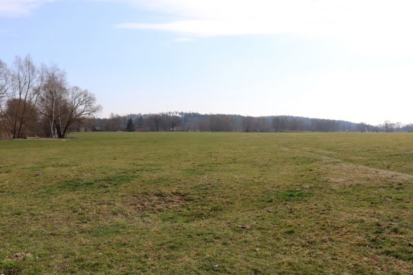 Žďár nad Orlicí, 19.3.2020
Pastvina u Orlice.
Schlüsselwörter: Žďár nad Orlicí pastvina Orlice Melinopterus reyi