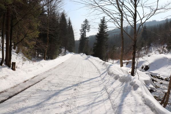 Liberk, 25.3.2021
Údolí Zdobnice nad Kamencem.
Klíčová slova: Orlické hory Liberk údolí Zdobnice Kamenec