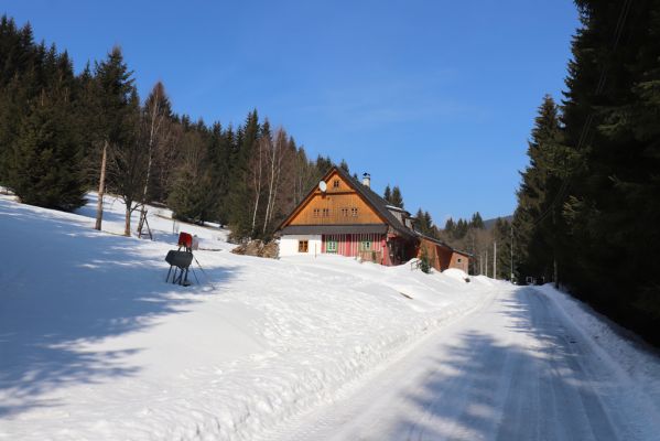 Zdobnice, 25.3.2021
Čertův Důl.
Klíčová slova: Orlické hory Zdobnice Čertův Důl