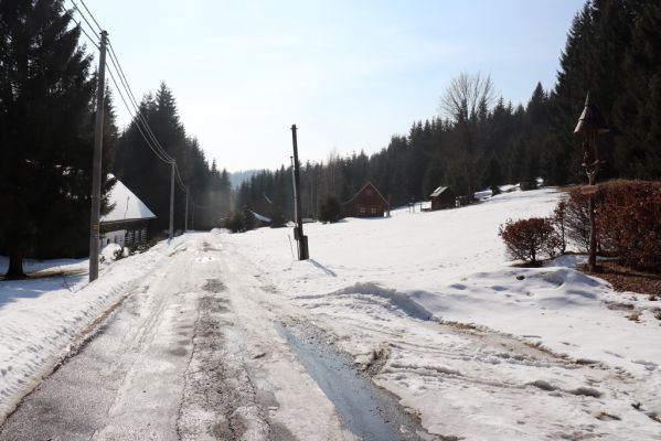 Zdobnice, 25.3.2021
Čertův Důl.
Schlüsselwörter: Orlické hory Zdobnice Čertův Důl