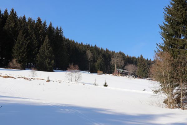 Zdobnice, 25.3.2021
Čertův Důl.
Klíčová slova: Orlické hory Zdobnice Čertův Důl