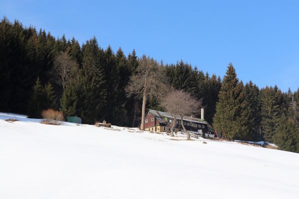 Zdobnice, 25.3.2021
Čertův Důl.
Klíčová slova: Orlické hory Zdobnice Čertův Důl