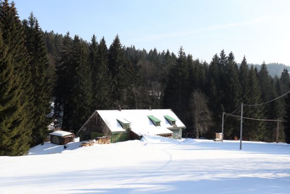 Zdobnice, 25.3.2021
Čertův Důl.
Klíčová slova: Orlické hory Zdobnice Čertův Důl