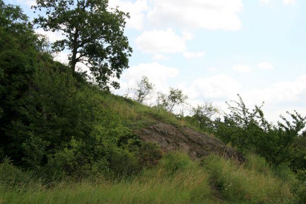 Zebín, 26.7.2009
Stopy pradávné sopečné aktivity Zebína.
Schlüsselwörter: Jičín Zebín Anthaxia candens