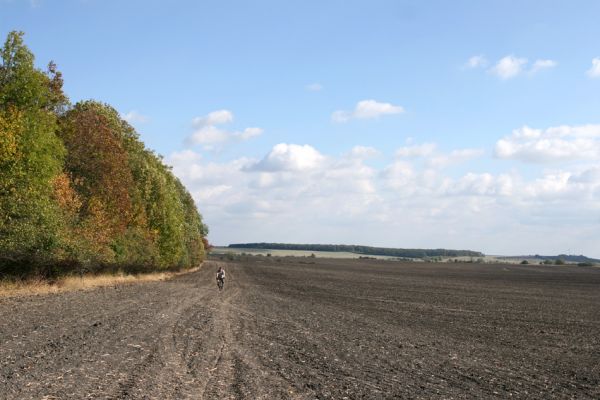 Lovčice - Bludy, 7.10.2009
Kolega Martin Samek kolem polem podél Žehuňské obory od Bludské brány k východní stepi rezervace Kněžičky. V pozadí převýšovský les Víno.
Klíčová slova: Lovčice Bludy Žehuňská obora Martin Samek