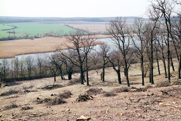 Žehuňská obora, 3.10.2002
Fotoreportáž likvidace listnatého lesa v NPR Žehuňská obora. Stanovisko předsednictva STUŽ č. 102: http://www.stuz.cz/view.php?nazevclanku=stanovisko-predsednictva-stuz-c-102&cisloclanku=2005101601
Mots-clés: Žehuňská obora Kněžičky