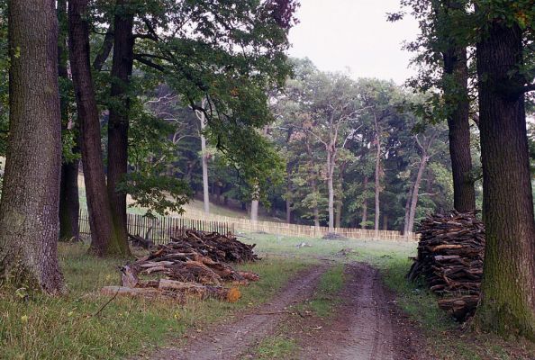 Žehuňská obora, 3.10.2002
Fotoreportáž likvidace listnatého lesa v NPR Žehuňská obora. Stanovisko předsednictva STUŽ č. 102: http://www.stuz.cz/view.php?nazevclanku=stanovisko-predsednictva-stuz-c-102&cisloclanku=2005101601
Klíčová slova: Žehuňská obora Kněžičky