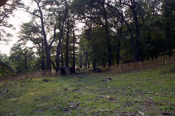 Žehuňská obora, 3.10.2002
Fotoreportáž likvidace listnatého lesa v NPR Žehuňská obora. Stanovisko předsednictva STUŽ č. 102: http://www.stuz.cz/view.php?nazevclanku=stanovisko-predsednictva-stuz-c-102&cisloclanku=2005101601

Schlüsselwörter: Žehuňská obora Kněžičky