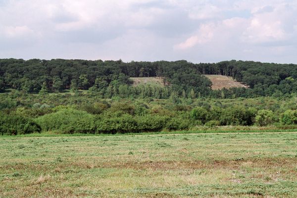 Žehuňská obora, 4.8.2004
Fotoreportáž likvidace listnatého lesa v NPR Žehuňská obora. Stanovisko předsednictva STUŽ č. 102: http://www.stuz.cz/view.php?nazevclanku=stanovisko-predsednictva-stuz-c-102&cisloclanku=2005101601
Keywords: Žehuňská obora Kněžičky