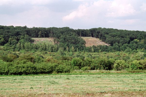 Žehuňská obora, 4.8.2004
Fotoreportáž likvidace listnatého lesa v NPR Žehuňská obora. Stanovisko předsednictva STUŽ č. 102: http://www.stuz.cz/view.php?nazevclanku=stanovisko-predsednictva-stuz-c-102&cisloclanku=2005101601
Mots-clés: Žehuňská obora Kněžičky