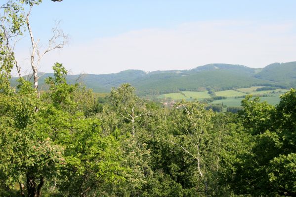 Zlatno, 20.5.2016
Zlatnianska skalka.
Klíčová slova: Zlatno Zlatnianska skalka Tříbeč