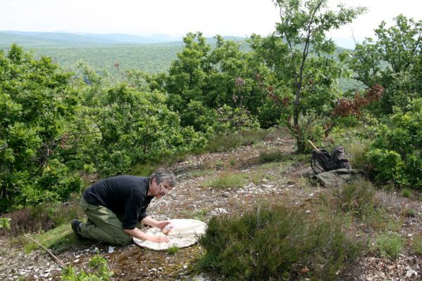 Zlatno, 20.5.2016
Zlatnianska skalka - vrchol. Kolega Čepelák objevil kovaříka Quasimus minutissimus.
Klíčová slova: Zlatno Zlatnianska skalka Čepelák Quasimus minutissimus Cardiophorus erichsoni Pheletes aeneoniger