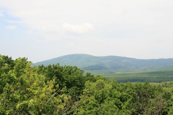 Zlatno, 20.5.2016
Zlatnianska skalka. Pohled na Tříbeč.
Klíčová slova: Zlatno Zlatnianska skalka Tríbeč