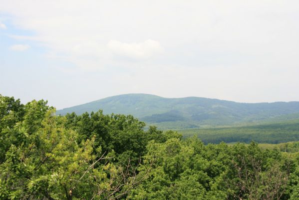 Zlatno, 20.5.2016
Zlatnianska skalka. Pohled na Tříbeč.
Klíčová slova: Zlatno Zlatnianska skalka Tríbeč