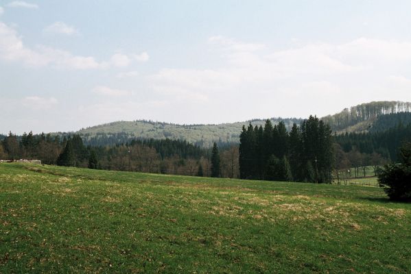 Novohradské hory, Žofín, 6.5.2006
Pohled na Žofínský prales od Žofína.



Klíčová slova: Novohradské hory Žofín Žofínský prales