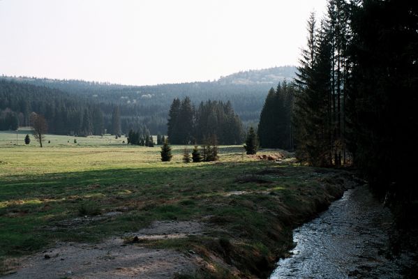 Novohradské hory, Žofín, 5.5.2006
Potok Černá na okraji rozsáhlých luk u osady Žofín. Štěrkové a písčité břehy potoka osídlili kovaříci Zorochros dermestoides, Negastrius pulchellus a Hypnoidus riparius.



Klíčová slova: Novohradské hory Žofín Černá Zorochros dermestoides Negastrius pulchellus Hypnoidus riparius