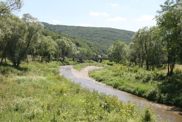 Zubné, 4.7.2014
Meandry Udavy.



Klíčová slova: Zubné řeka Udava