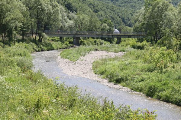 Zubné, 4.7.2014
Meandry Udavy.



Schlüsselwörter: Zubné řeka Udava