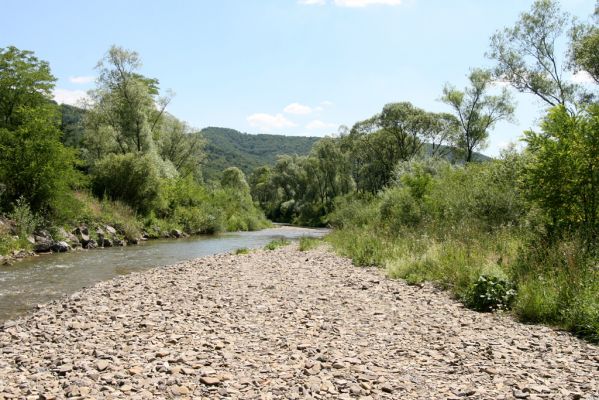 Zubné, 4.7.2014
Meandry Udavy.
Klíčová slova: Zubné řeka Udava