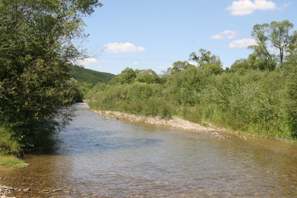 Zubné, 4.7.2014
Meandry Udavy.



Schlüsselwörter: Zubné řeka Udava