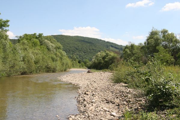 Zubné, 4.7.2014
Meandry Udavy.

Mots-clés: Zubné řeka Udava