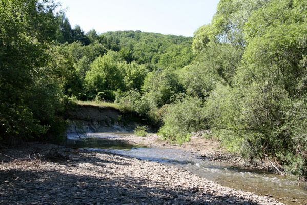 Zubné, 4.7.2014
Meandry Udavy.



Schlüsselwörter: Zubné řeka Udava