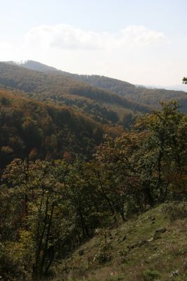 Zvolen, 16.10.2014
Neresnica, lesostep v suťovém lese nad dolinou potoka Burzovo.
Klíčová slova: Zvolen Neresnica Burzovo Javorie