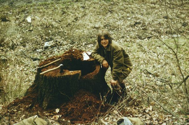 Zvolen, 2.4.1988
Údolí Hronu pod vrchem Veľká Stráž. Pařez dubu pokácený pří stavbě silnice, osídlený kovaříky Ampedus hjorti a Ampedus cardinalis. 
Keywords: Zvolen údolí Hronu Veľká Stráž Ampedus hjorti cardinalis Martin Samek