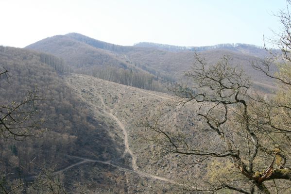 Zvolen, 4.4.2016
Javorie - Pustý hrad. Pohled na vyrubaný Zlatý kopec.



Keywords: Zvolen Javorie Pustý hrad Zlatý kopec