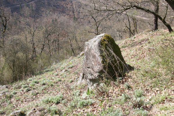 Zvolen, 4.4.2016
Javorie - Pustý hrad, xerothermní formace na jižním svahu.



Klíčová slova: Zvolen Javorie Pustý hrad