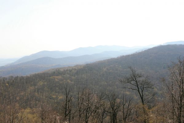 Zvolen, 4.4.2016
Javorie - Pustý hrad, pohled na východ.


Keywords: Zvolen Javorie Pustý hrad